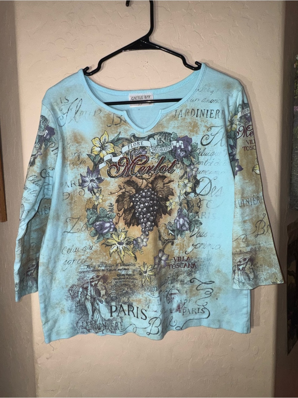 Cactus Bay Lynée Vintage Y2K Blue Tuscany Vineyard Graphic Cotton Top XL